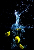 IIP Online Student Photography